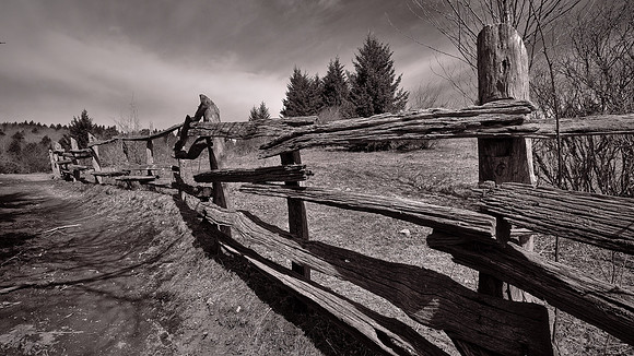Grayson Highlands State Park, VA