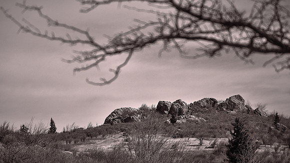 Grayson Highlands State Park, VA