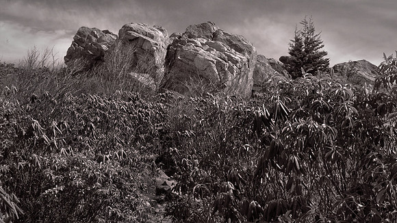 Grayson Highlands State Park, VA