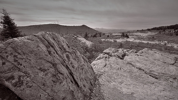 Grayson Highlands State Park, VA