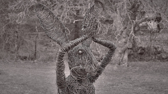 Bill Brown, Sculpture Garden