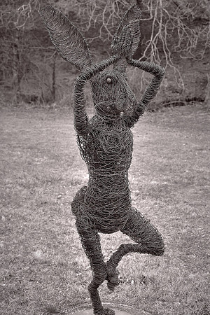 Bill Brown, Sculpture Garden