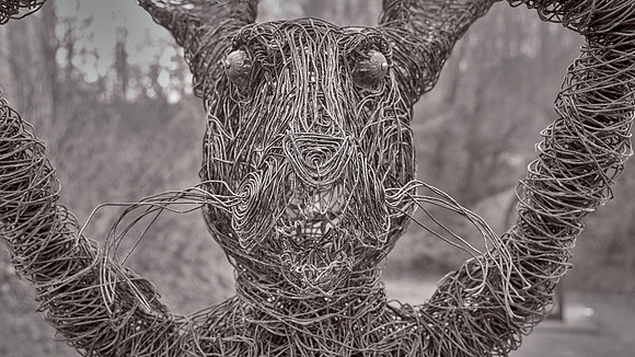 Bill Brown, Sculpture Garden