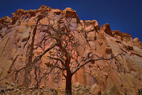 Capitol Reef National Park, UT.  Around Panorama Point, Sunset Point, and the Goosenecks.