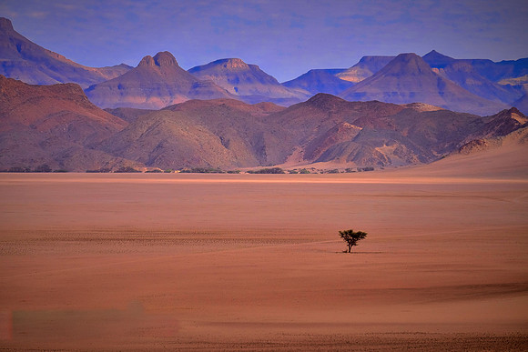 2017 November 20.  Damaraland, northwest Namibia.