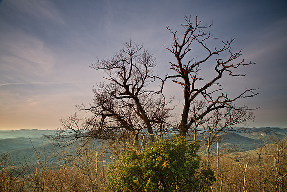 Blue Ridge Parkway, NC