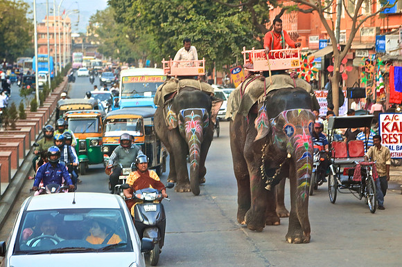 Downtown Jaipur, India