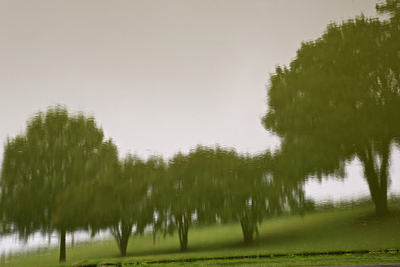 Shelton Vineyards
