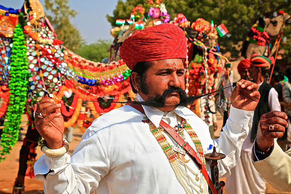 Nagaur Camel and Livestock Fair, Nagaur, Rajasthan