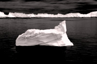 2024 Aug - Denizens of West Greenland