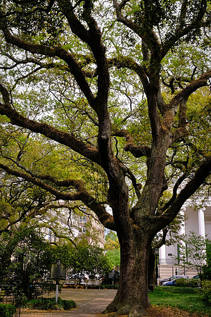 Savannah, GA