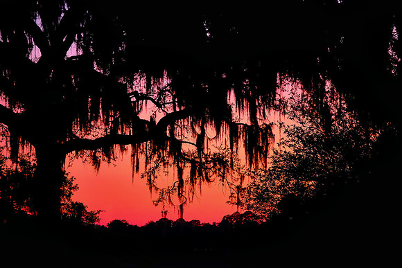 Sunset, Beaufort, SC
