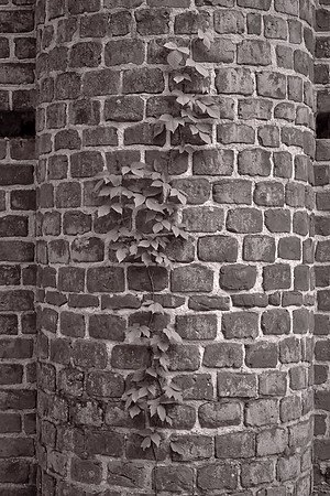 Old Sheldon Church Ruins, Beaufort County, SC