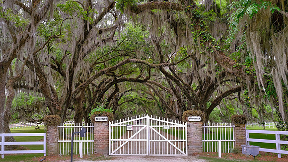 Tomotley Plantation, Beaufort County, SC