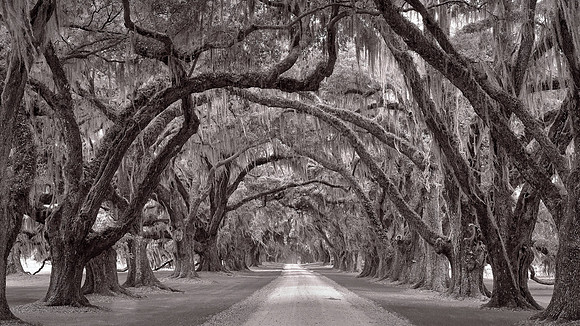 Tomotley Plantation, Beaufort County, SC