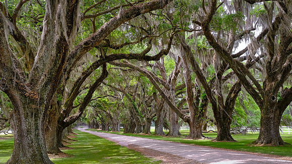 Tomotley Plantation, Beaufort County, SC