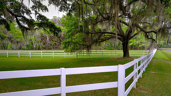 Tomotley Plantation, Beaufort County, SC