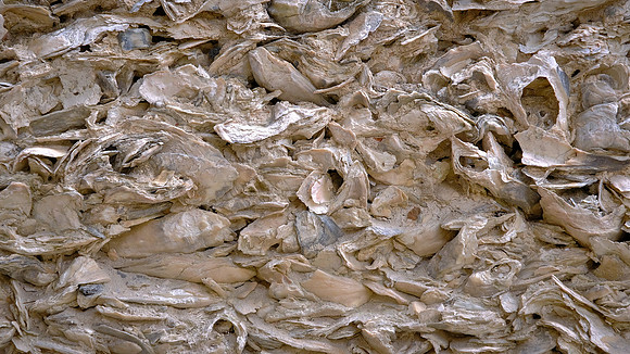 Tabby Shell Stucco, Chapel of Ease, St Helena's Island, Beaufort, SC