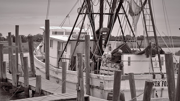 Gay Fish Co, St Helena Island, Beaufort, SC
