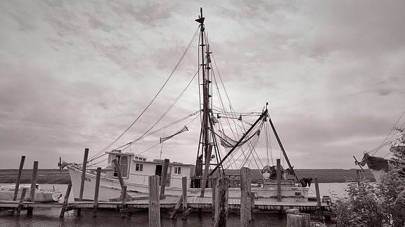 Gay Fish Co, St Helena Island, Beaufort, SC