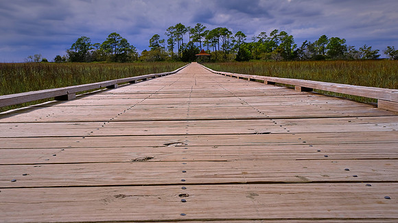 Hunting Island State Park, Hunting Island, SC