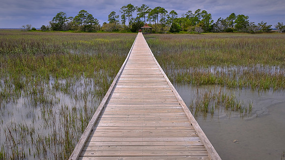 Hunting Island State Park, Hunting Island, SC