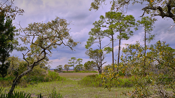 Hunting Island State Park, Hunting Island, SC