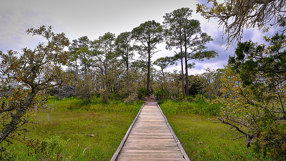 Hunting Island State Park, Hunting Island, SC
