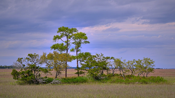 Hunting Island State Park, Hunting Island, SC