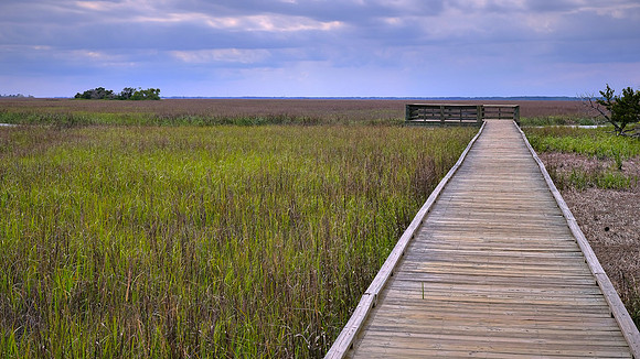 Hunting Island State Park, Hunting Island, SC