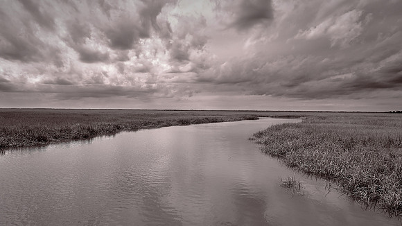 Hunting Island State Park, Hunting Island, SC