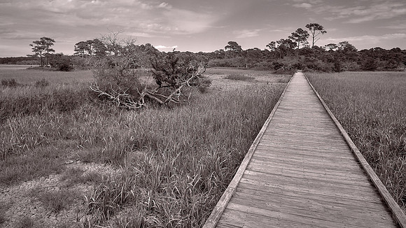 Hunting Island State Park, Hunting Island, SC
