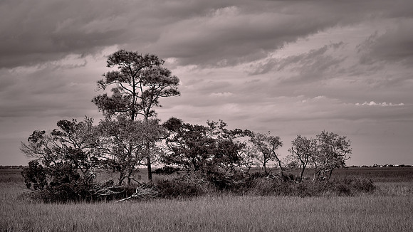Hunting Island State Park, Hunting Island, SC