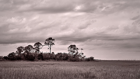 Hunting Island State Park, Hunting Island, SC