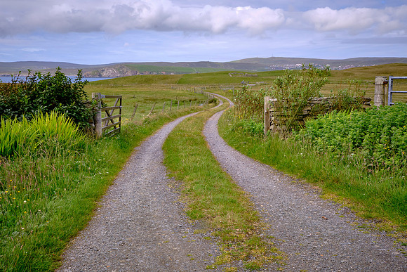 We visited a small sheep croft on the small island of Bressay.