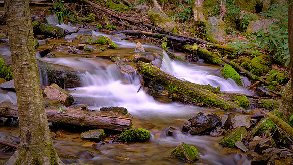 Mingo Falls, NC