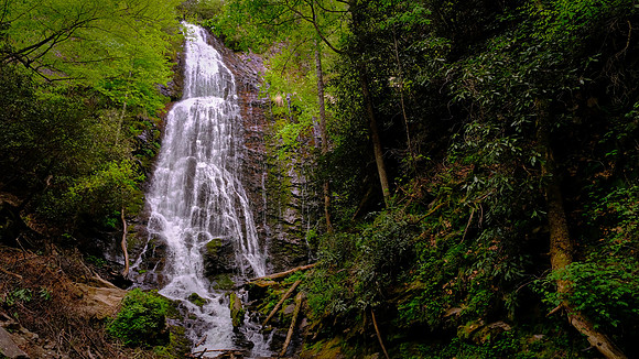 Mingo Falls, NC