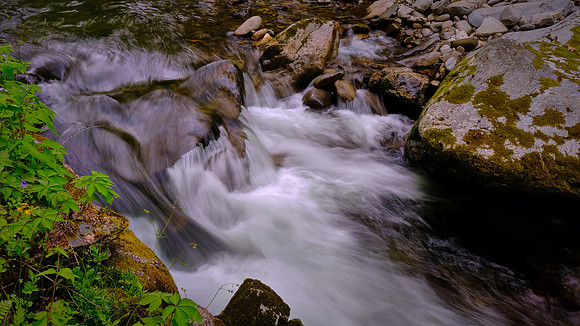 Raven Fork, NC
