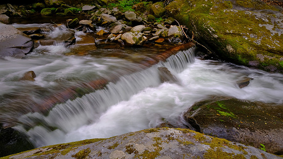 Raven Fork, NC