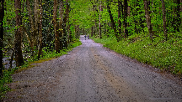 Big Cove Road along Raven Fork, NC