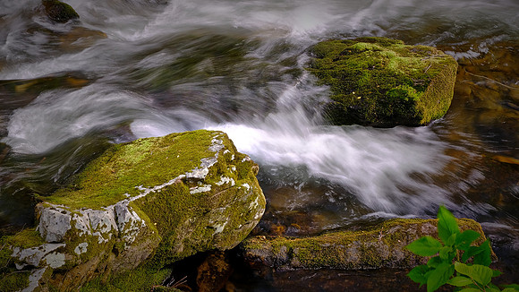 Raven Fork, NC