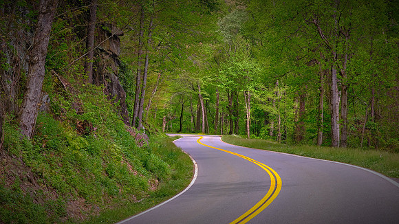 Great Smoky Mountains National Park, NC
