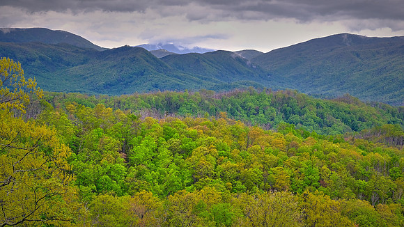 Great Smoky Mountains National Park, NC