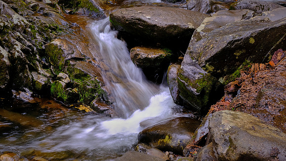 Grotto Falls, Great Smoky Mountains National Park, TN
