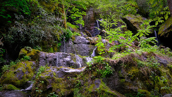 Place of a Thousand Drips , Great Smoky Mountains National Park, TN