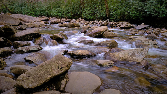 Great Smoky Mountains National Park, TN