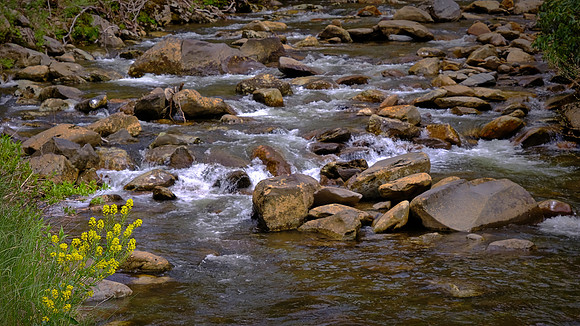 Great Smoky Mountains National Park, TN