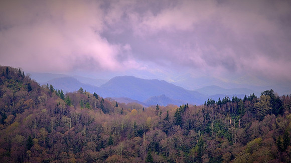 Great Smoky Mountains National Park, TN