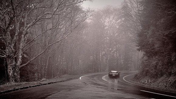 Fog in Great Smoky Mountains National Park, NC