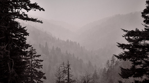 Fog in Great Smoky Mountains National Park, NC